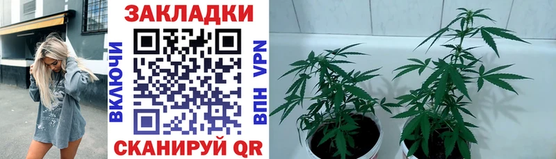 A-PVP Дудинка