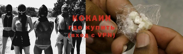 стафф Вяземский