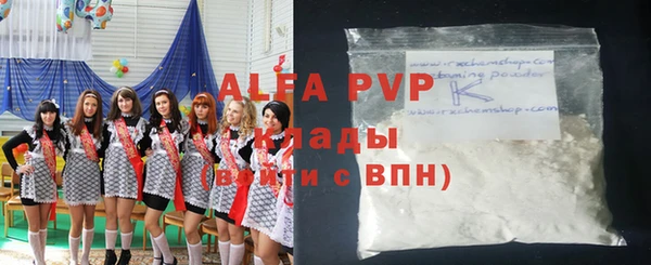 стафф Вяземский