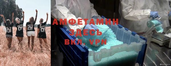 стафф Вяземский