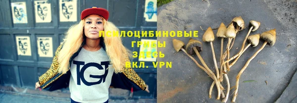 мяу мяу мука Волоколамск
