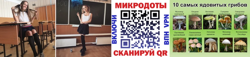 Псилоцибиновые грибы прущие грибы  Дудинка 